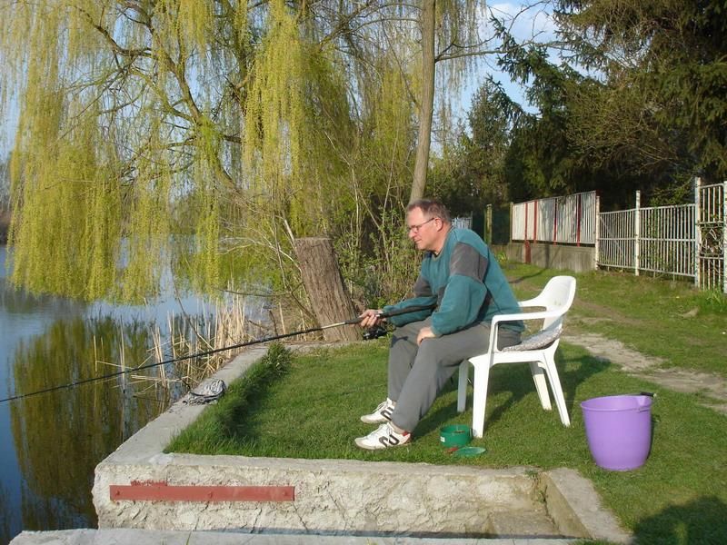 Kardos ma4.JPG